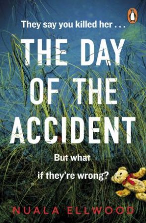 The Day Of The Accident by Nuala Ellwood