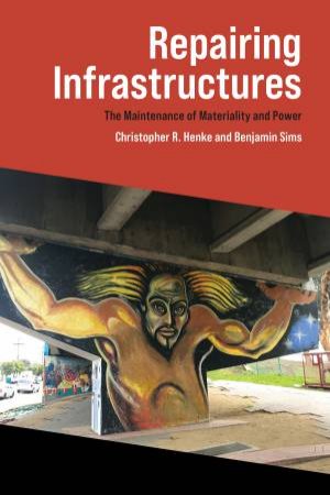 Repairing Infrastructures by Christopher R. Henke & Benjamin Sims