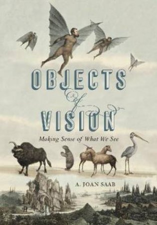 Objects Of Vision by A. Joan Saab