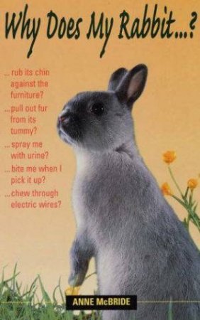 Why Does My Rabbit...? by Anne McBride