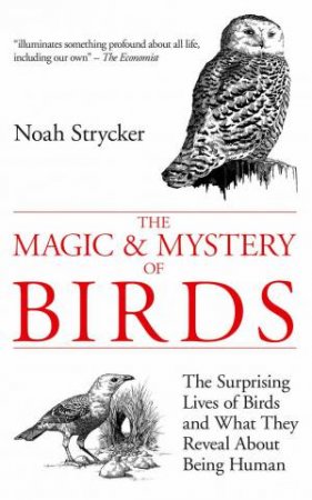 The Magic & Mystery of Birds by Noah Strycker