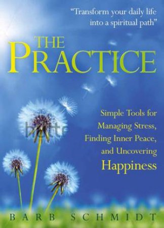 The Practice by Barb Schmidt