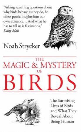 The Magic and Mystery of Birds by Noah Strycker