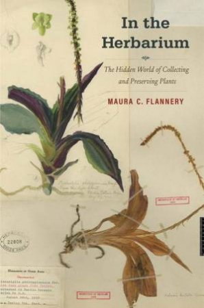 In the Herbarium by Maura C. Flannery