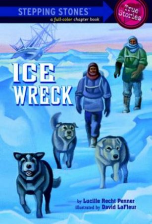 Stepping Stones: Ice Wreck by Lucille Recht Penner