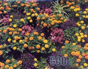 Flower Garden, Chartres, France - Puzzle by Various