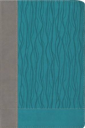 NIV, Faithlife Study Bible: Intriguing Insights To Inform Your Faith [Gray/Turquoise] by Faithlife