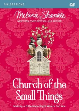 Church Of The Small Things Video Study: Making A Difference Right Where You Are by Melanie Shankle