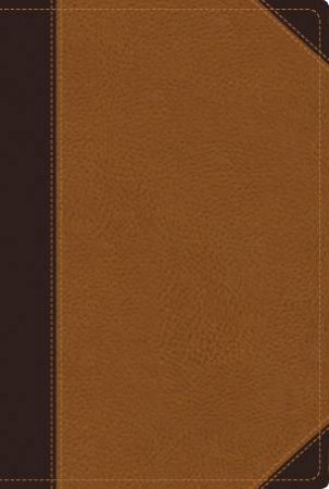 NIV Zondervan Study Bible: Built on the Truth of Scripture and Centeredon the Gospel Message [Chocolate/Caramel Duo-Tone by D A Carson