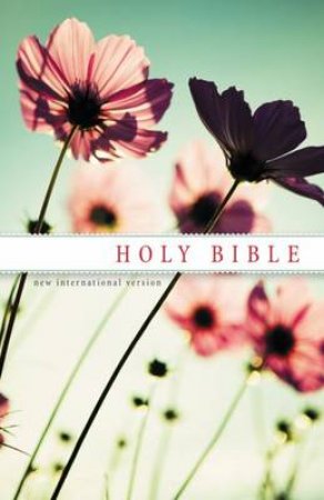 NIV Witness Edition Bible by Various