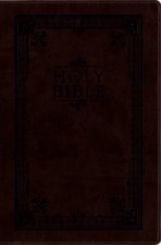 NIV ReadEasy Bible Compact Edition