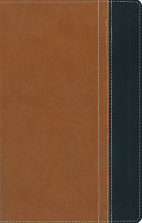 NIV Thinline Bible Caramel by Various