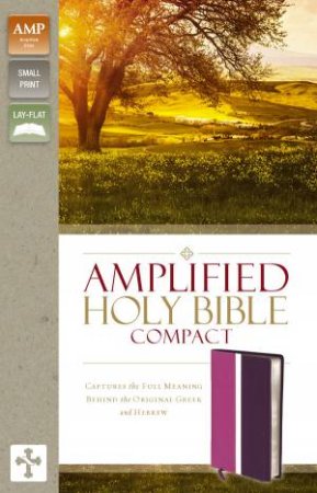 Compact Amplified Holy Bible - Orchid & Plum by Various