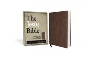 The Jesus Bible, NIV Edition [Brown] by Louie Giglio