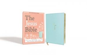 Jesus Bible NIV Edition [Blue] by Louie Giglio