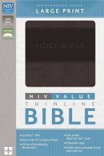 NIV Value Thinline Bible Large Print CharcoalBlack