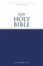 NIV Economy Bible Accurate Readable Clear