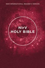 NIrV Outreach Bible Pink