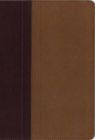 NIV, Quest Study Bible, Indexed: The Question And Answer Bible [Burgundy/Tan] by Zondervan