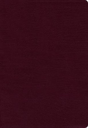 NIV Thinline Bible Red Letter Edition [Large Print, Burgundy] by Zondervan