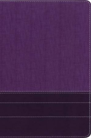 NIV Thinline Bible Red Letter Edition [Large Print, Purple] by Zondervan