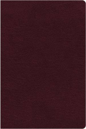 NIV Thinline Reference Bible Indexed Red Letter Edition [Large Print, Burgundy] by Zondervan