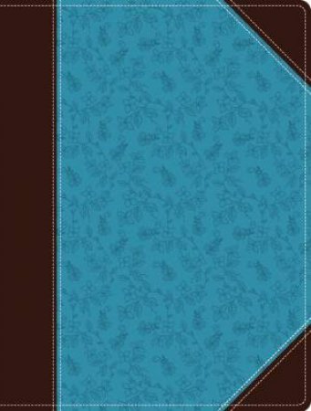 NIV Journal The Word Bible Red Letter Edition [Brown/Blue] by Zondervan