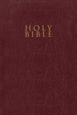 NIV Gift And Award Bible Red Letter Edition Burgundy