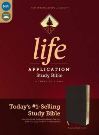 NIV Life Application Study Bible Red Letter Edition (Burgundy) by Various