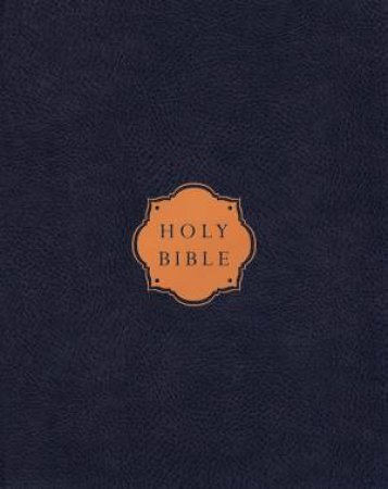 NIV Our Family Story Bible Red Letter Edition (Navy) by Various