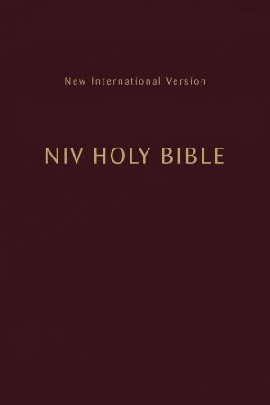 NIV Holy Bible Compact (Burgundy) by Various