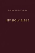 NIV Holy Bible Compact Burgundy