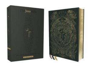 The Jesus Bible Artist Edition NIV Limited Edition Comfort Print [Green] by Louie Giglio & Passion