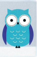 Glitter Bible Collection NIV Turquoise Owl