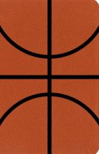 Sports Collection Bible NIV Basketball