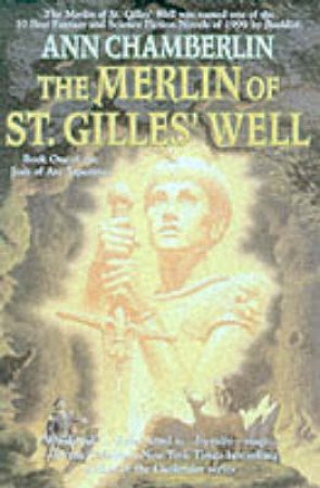 The Merlin Of St Gilles' Well by Ann Chamberlin