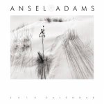 Ansel Adams 2013 Engagement Calendar