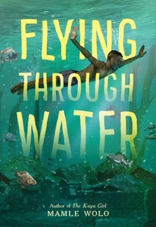 Flying through Water by Mamle Wolo