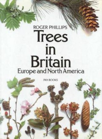 Trees In Britain, Europe And North America by Roger Phillips