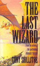 The Last Wizard