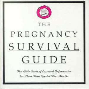 The Pregnancy Survival Guide by Belinda Henwood (Ed)