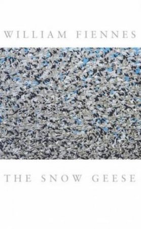 Snow Geese by William Feinnes