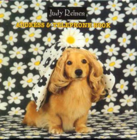 Animal Antics Address Book - Dog (Small) by Judy Reinen