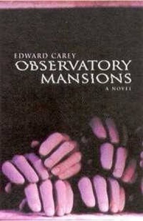 Observatory Mansions by Edward Carey