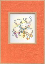 Binggan Babies Organiser  Orange Cover