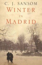 Winter In Madrid