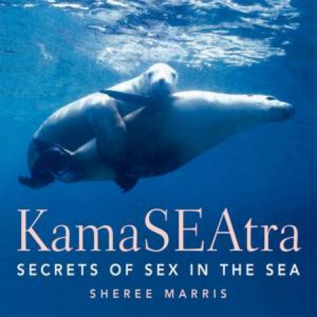 Kama Seatra by Sheree Marris