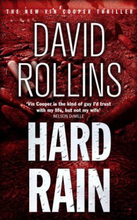 Hard Rain by David Rollins