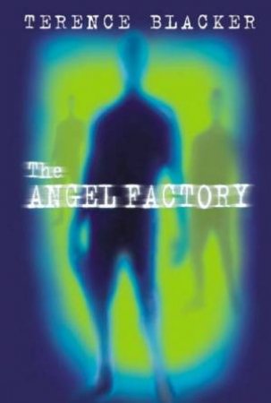 The Angel Factory by Terence Blacker