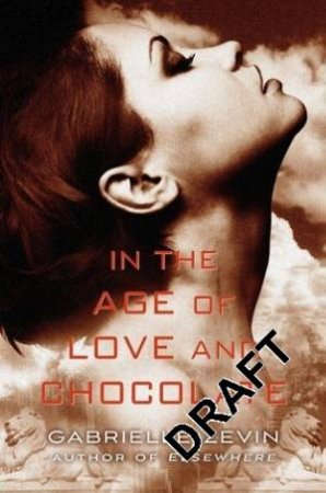 In the Age of Love and Chocolate by Gabrielle Zevin